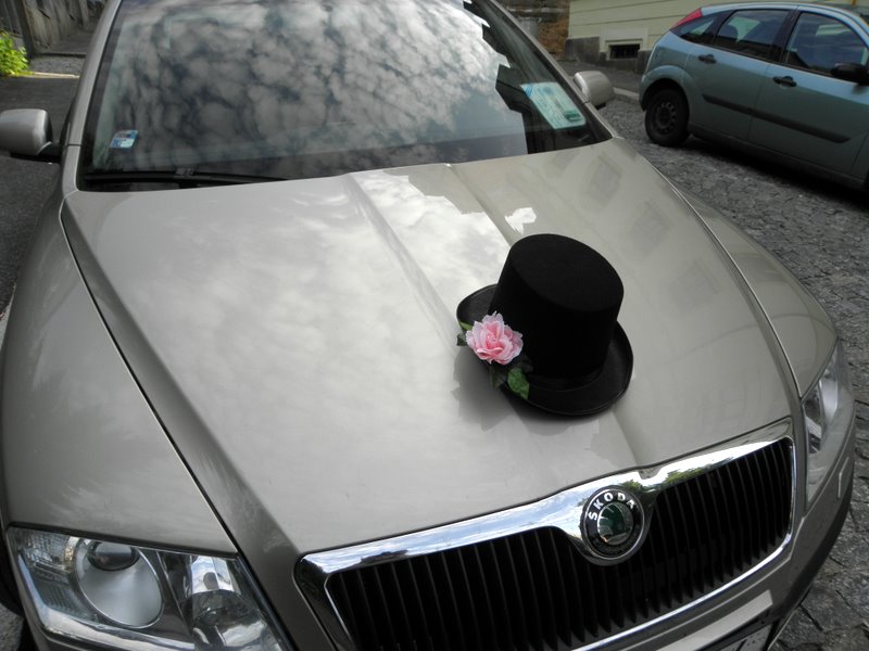 Cylindr růžový na ženichovo auto s přísavkami