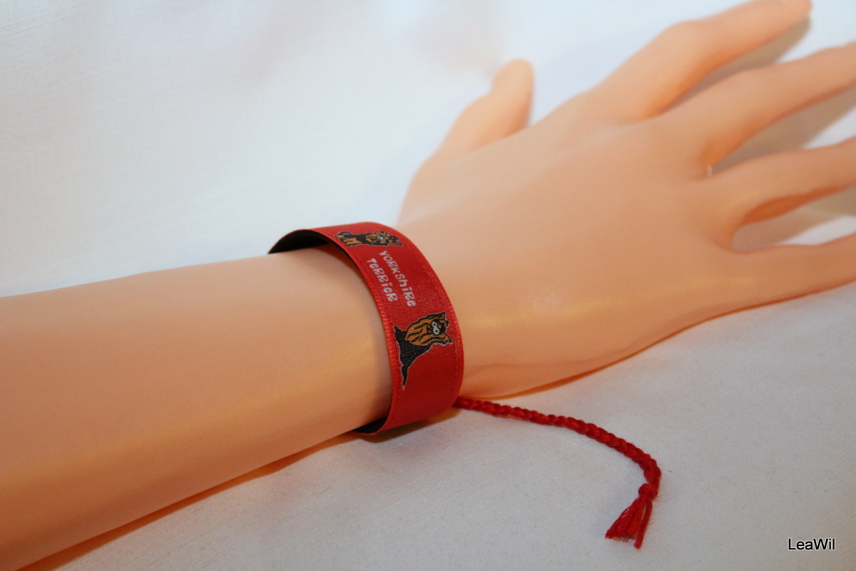 Obojek 2 cm jorkšír červená 