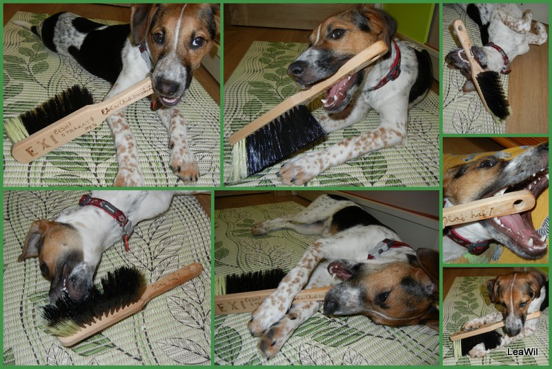 Smetáček/košťátko ČSP