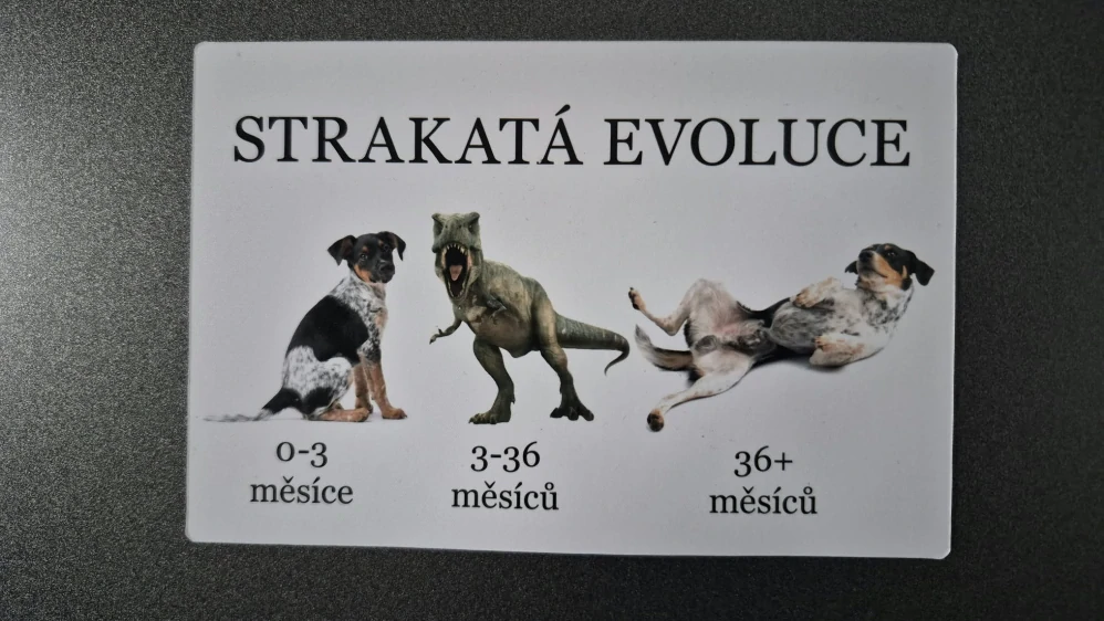 Magnetka evoluce český strakatý pes