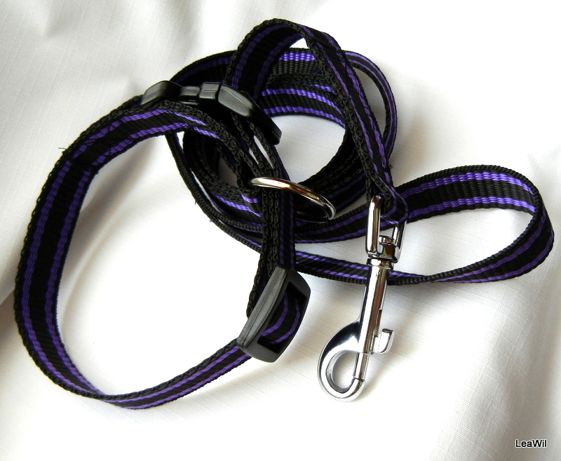 Obojek popruh černý s barevným pruhem 2cm