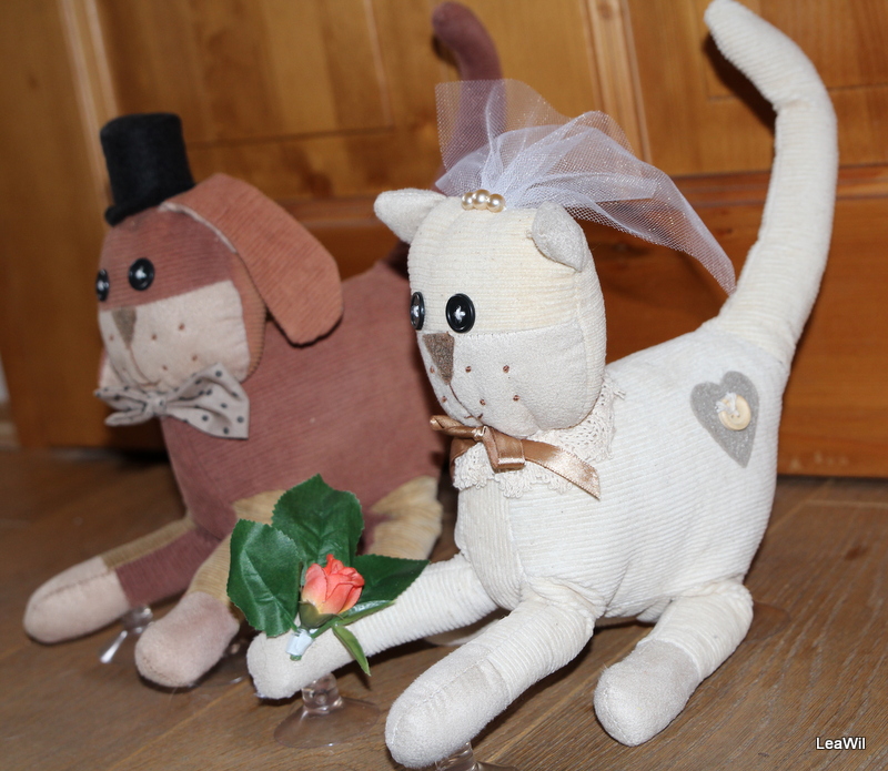 Svatebni kočka a pes