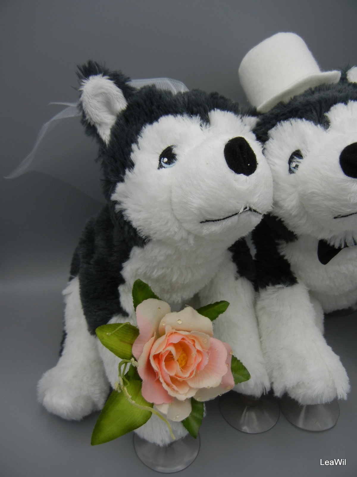 Plyšoví husky, malamuti větší