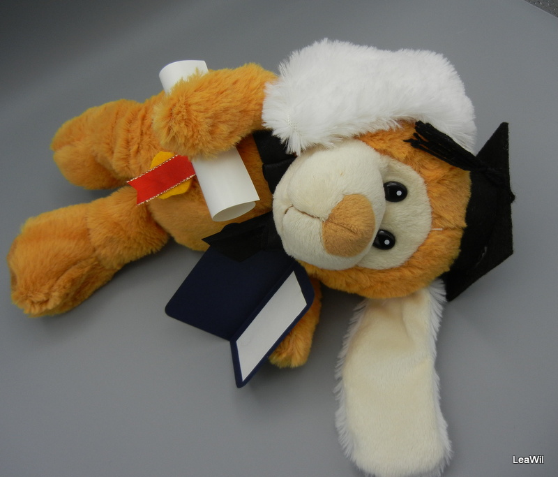 Promoční/maturitní pejsek chlup rez s černou