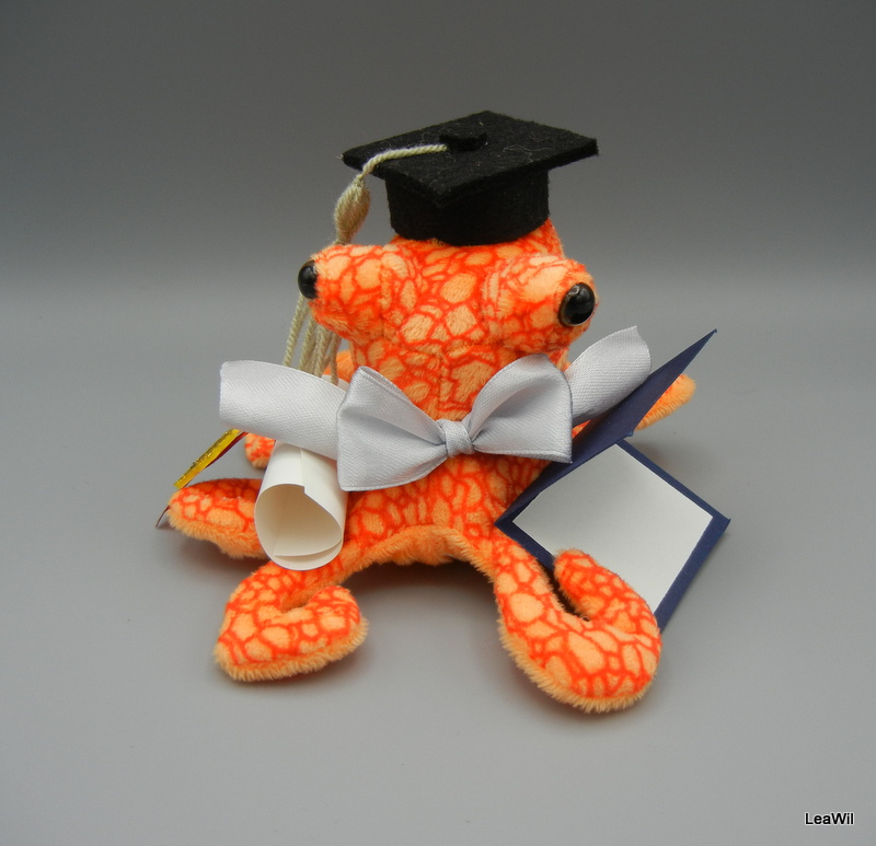 Promoční/maturitní chobotnice stříbrná