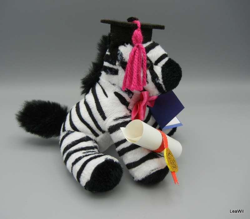 Promoční/maturitní zebra fuchsie