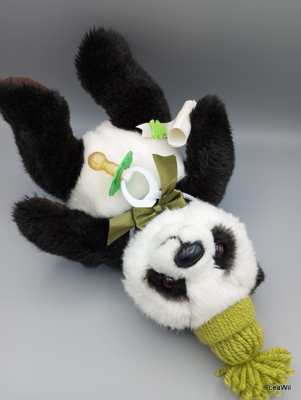 Medvěd panda zel miminko