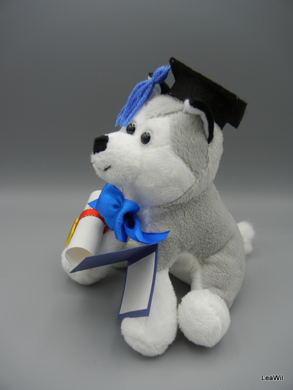 Promoční/maturitní husky král modry