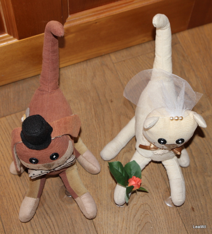 Svatebni kočka a pes