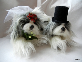 Plyšoví Shih-tzu