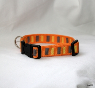 Obojek popruh oranž s pruhem 2cm