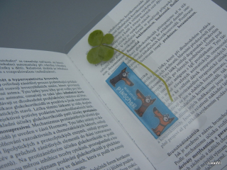 Čtyřlístková záložka do knihy pinč