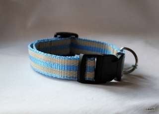 Obojek popruh modrobéž 2,5cm