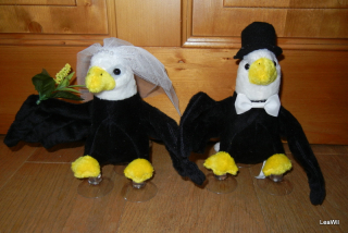 Plyšoví orli bělohlaví