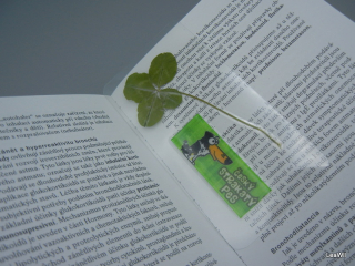 Čtyřlístková záložka do knihy český strakatý pes zelené karo