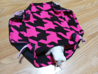 Dvojhamak coral růž koko