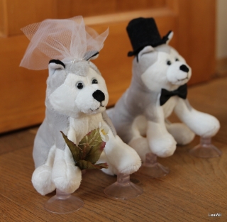 Plyšoví husky, malamuti