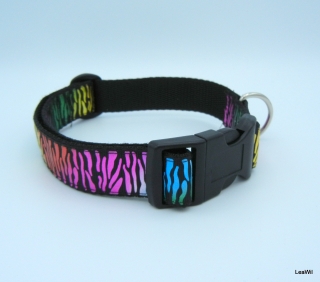 Obojek ryps 2,5 cm fial duhová zebra