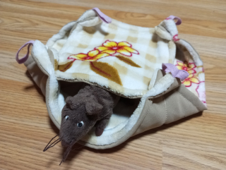 Dvojhamak coral květy béž růž 