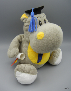 Promoční/maturitní hroch modrozlut