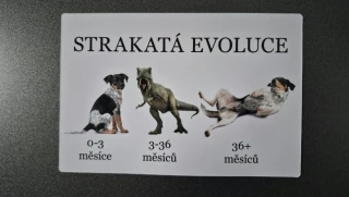 Magnetka evoluce český strakatý pes 
