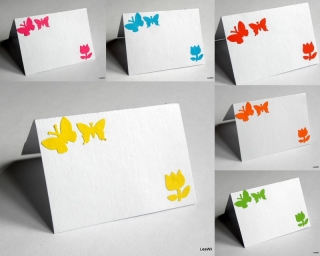 Jmenovka - motýlci + květina